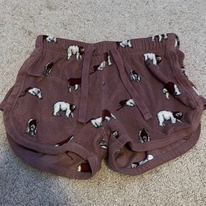 Aeropostale Polar bear shorts.
